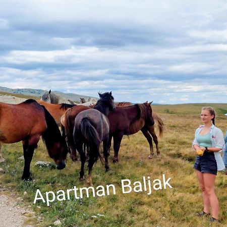 Apartman Baljak Livno Buitenkant foto