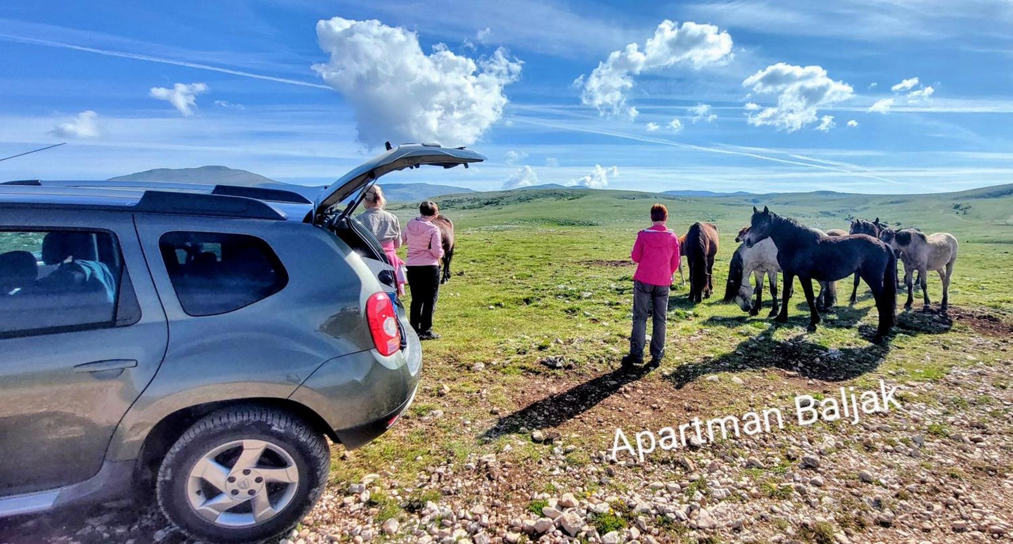 Apartman Baljak Livno Buitenkant foto