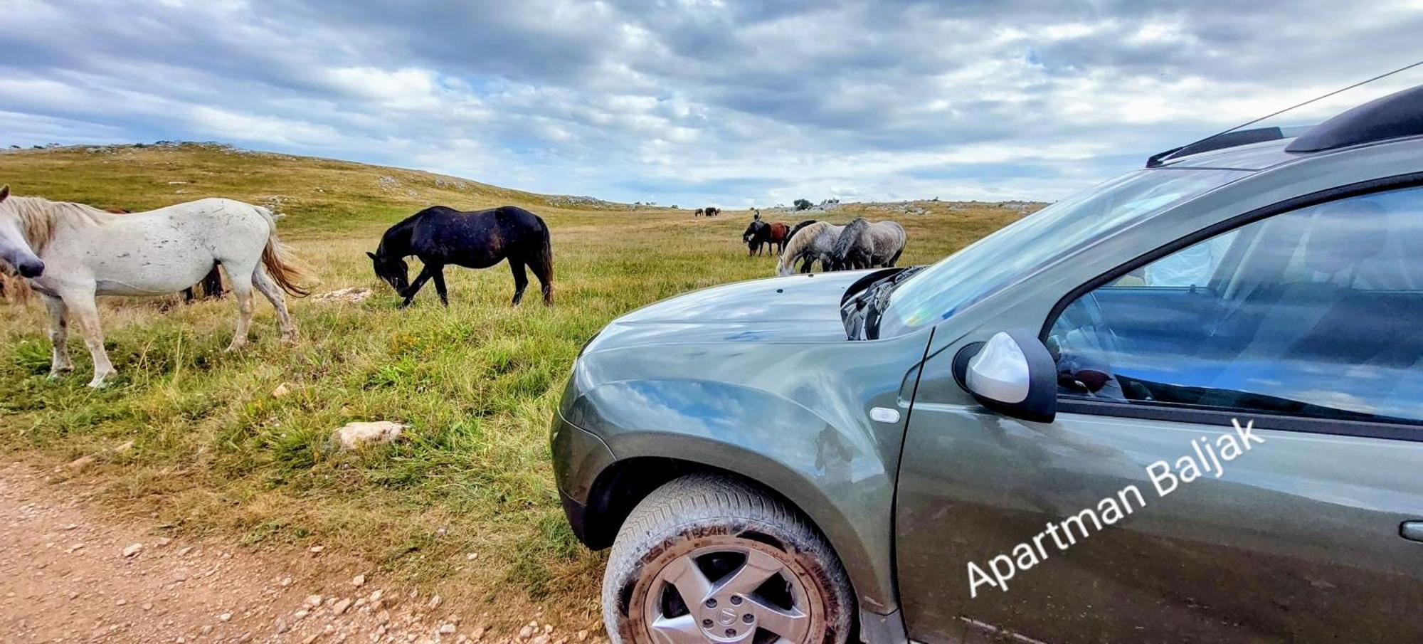Apartman Baljak Livno Buitenkant foto