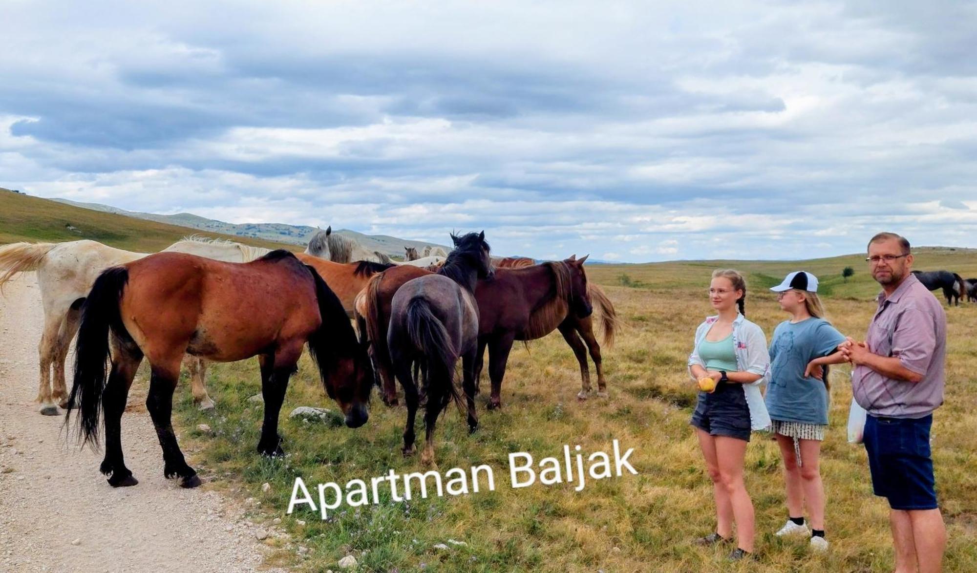 Apartman Baljak Livno Buitenkant foto