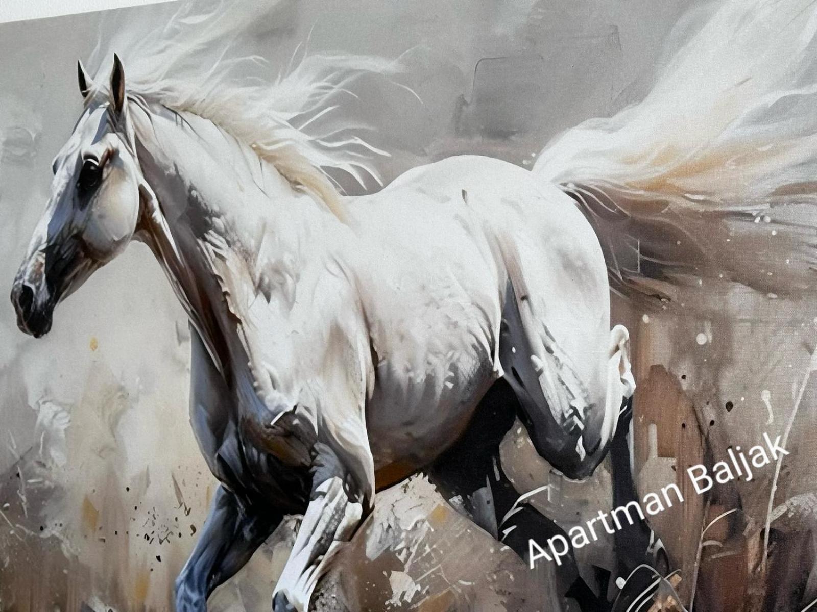Apartman Baljak Livno Buitenkant foto